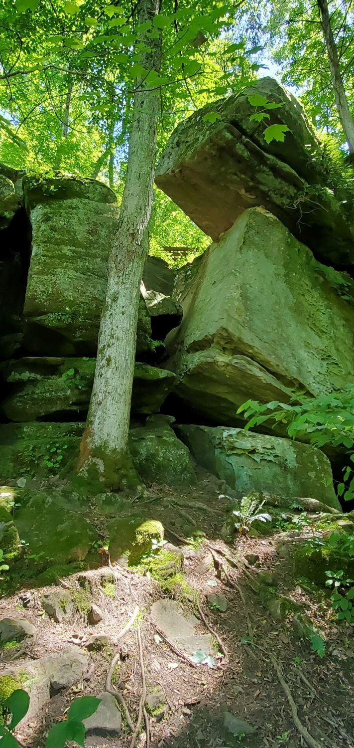 Rim Rock Rec Area - Rim Rock Rec Trail 